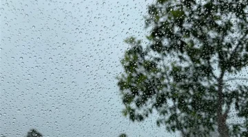 أمطار ورياح باردة.. الأرصاد تحذر من تقلبات طقس الجمعة في المحافظات المصرية